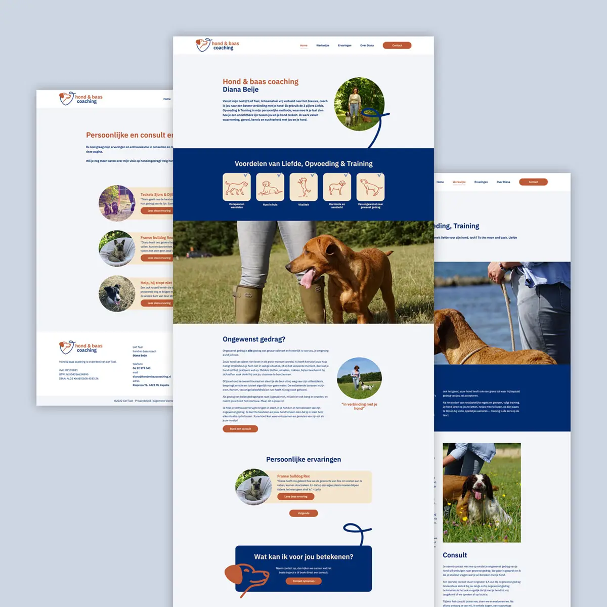 Responsive website ontwerp